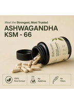 Rootein KSM-66 Ashwagandha Capsules